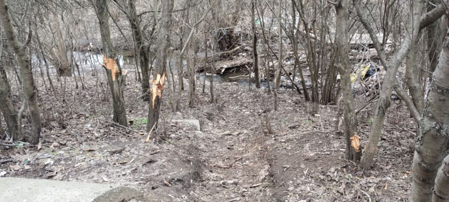 Вирви та уламки на землі: в Запоріжжі фахівці екоінспекції обстежили уражені дронами ділянки (фото)