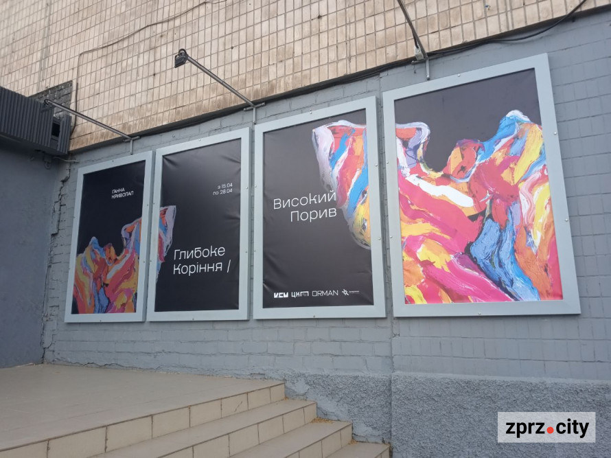 Київська художниця занурила запоріжців у магію кольору - фото