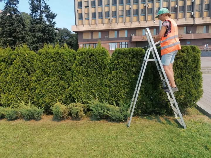 Понад 3 тисячі квітів до Дня Незалежності - у Запоріжжі створюють ландшафтні композиції