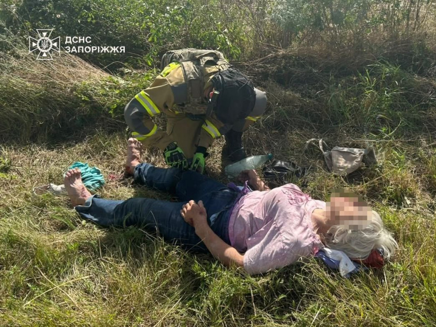 У Запорізькому районі легковик в'їхав у дерево — постраждала водійка (фото)