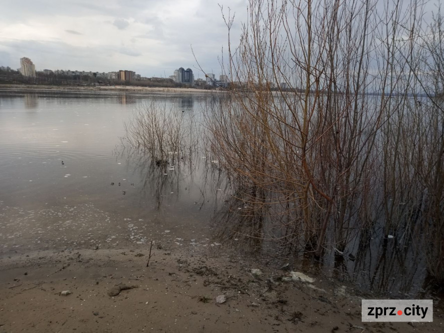 Води стало більше: як виглядає узбережжя Хортиці на початку квітня