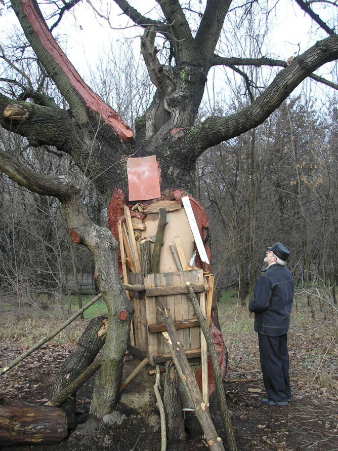 Дуб з кам'яним серцем: на Хортиці росте незвичайне дерево (фото)