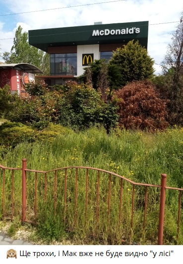 Заросло бур’янами — у Запоріжжі змусили прибрати територію біля популярного місця зустрічей містян (фото)