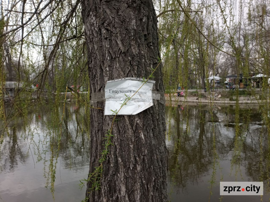 Сезон магнолій і лебеді: у вихідні в запорізькому парку був аншлаг - фото