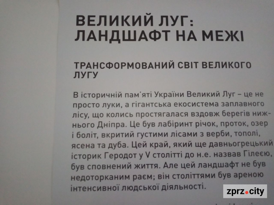 Європейці в шоці - відома художниця презентувала виставку про наслідки війни, яку створила у Запоріжжі