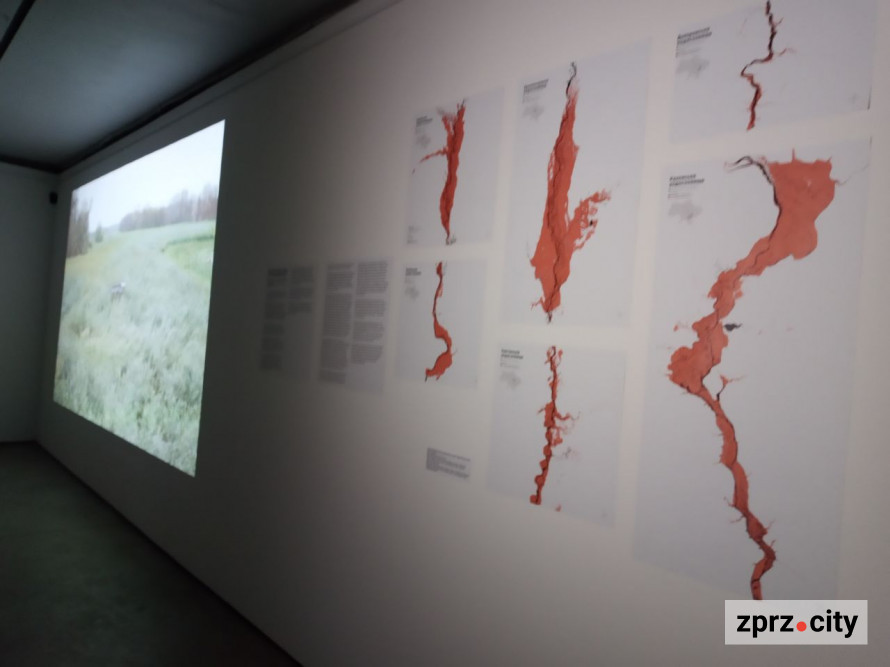 Європейці в шоці - відома художниця презентувала виставку про наслідки війни, яку створила у Запоріжжі