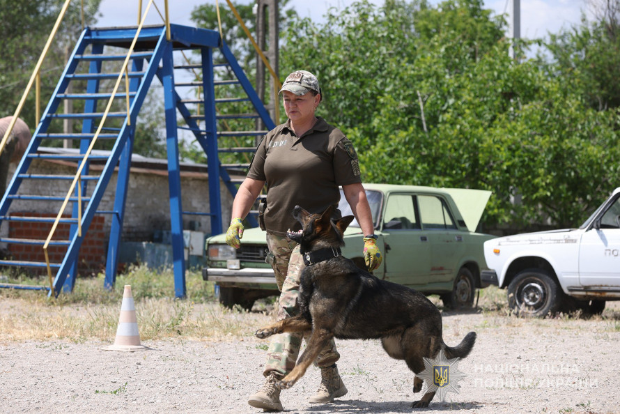 Чотирилапа терапія - у Запоріжжі собаки поліції допомагають військовим відновитися після поранень (фото)