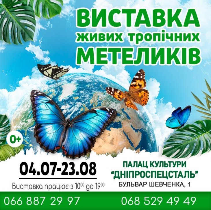 Кіно під зірками, вогняне шоу, забіги та музика: чим зайнятися у Запоріжжі цими вихідними
