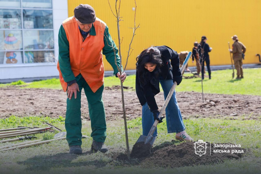 Замість бур'янів та пилу — тінь і затишок: на пустирі у Хортицькому районі Запоріжжя висадили десятки дерев (фото)