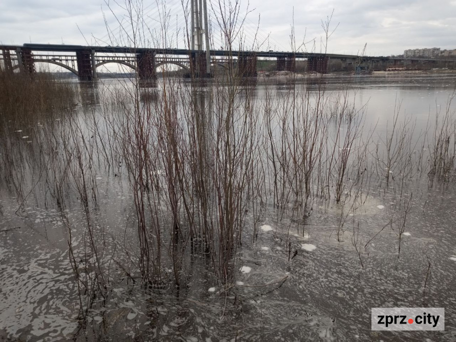 Води стало більше: як виглядає узбережжя Хортиці на початку квітня