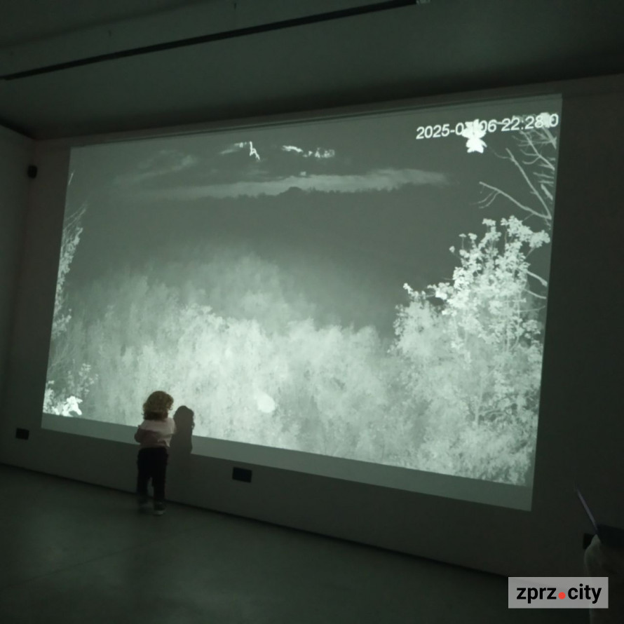 Європейці в шоці - відома художниця презентувала виставку про наслідки війни, яку створила у Запоріжжі