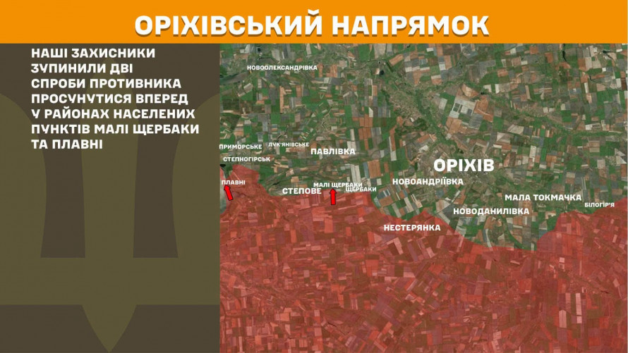 Двома дронами уразили шістьох окупантів: на Запорізькому напрямку розбили штурмову групу (відео)
