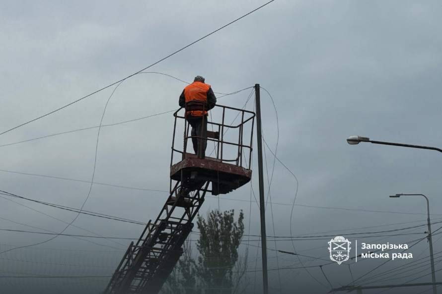 Сітка «впіймала» дрон і відкинула його у кущі: у Запоріжжі на дорогах встановлюють потрійний антидроновий захист