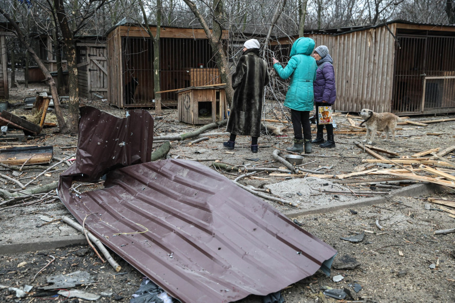 "Тварини не заслуговують бути вбитим" - ситуація у запорізькому притулку для тварин, зруйнованому ворожим дроном