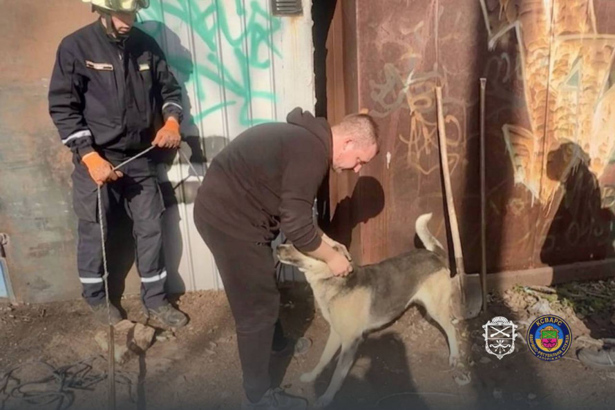 У Запоріжжі пес опинився у пастці: небайдужі люди почули скавчання