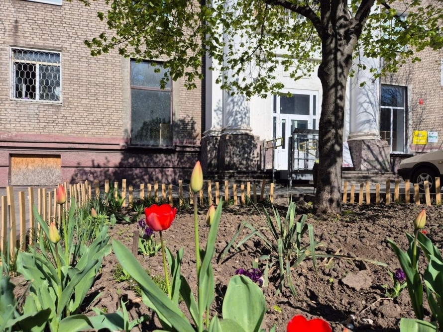 У модульному містечку Запоріжжя висадили алею молодих дерев