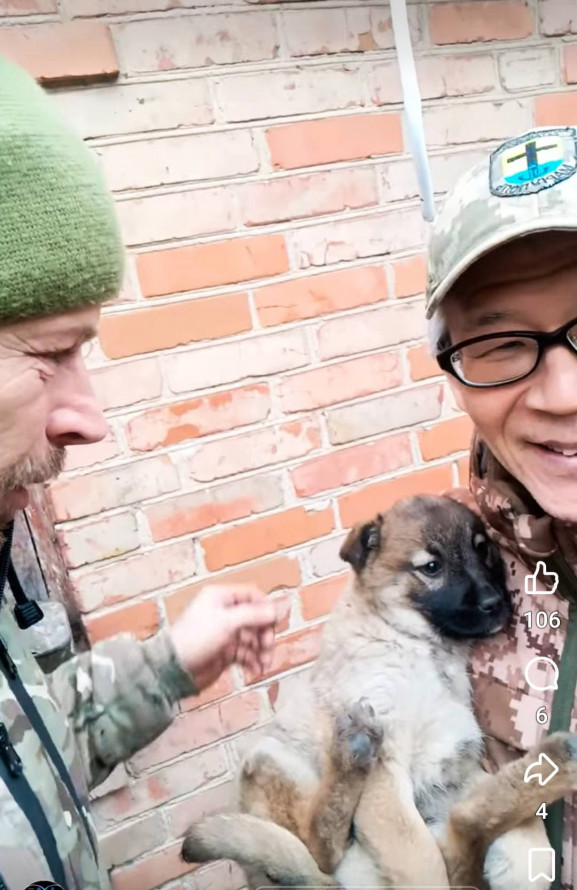 Роксі з прифронтового Запоріжжя вирушає до Японії - волонтер подолав тисячі кілометрів заради цуценяти (фото)