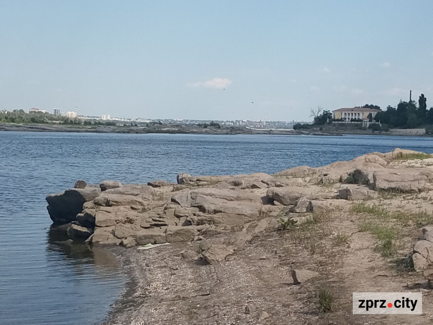 На місці колишнього дна Дніпра на узбережжі Хортиці виріс тополевий ліс висотою у два людські зрости - фото