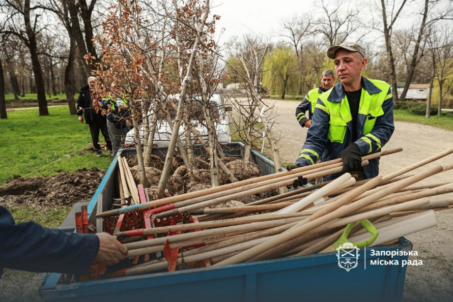 У запорізькому парку висадили нову алею дубів (фото)