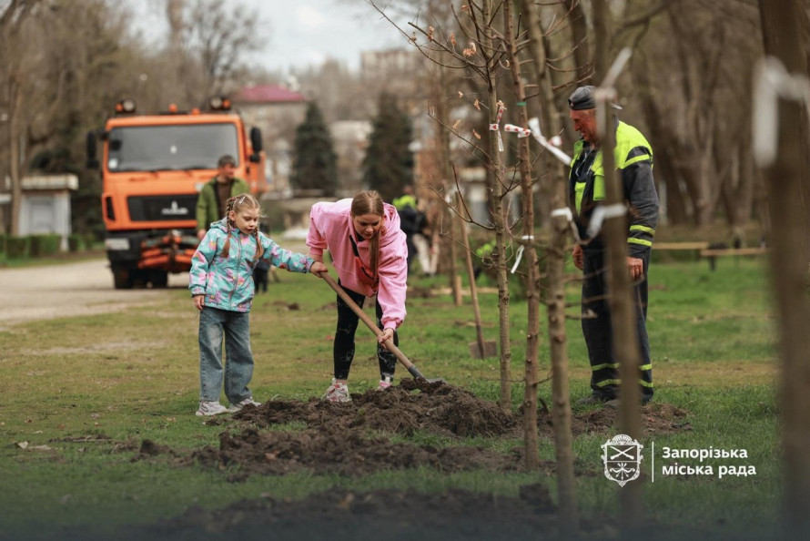 У запорізькому парку висадили нову алею дубів (фото)