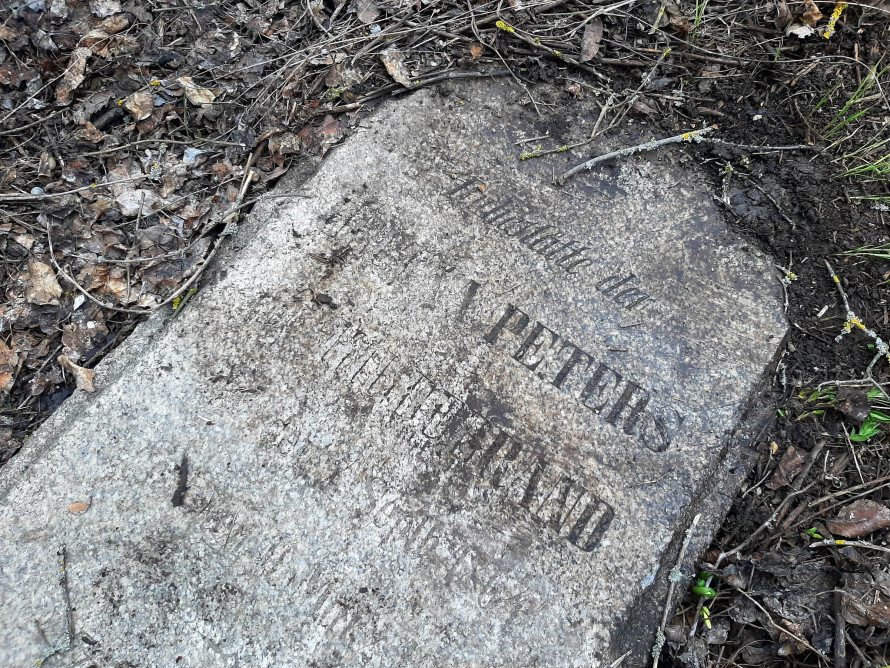 Лежала в посадці біля кургану: у Запорізькому районі знайшли стелу віком понад шість тисяч років (фото)