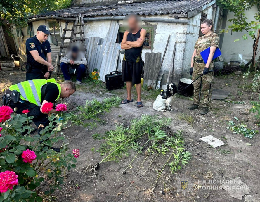 Спецоперація "Джентльмени": у Запорізькій області виявили "садівників", які вирощували мак та коноплю