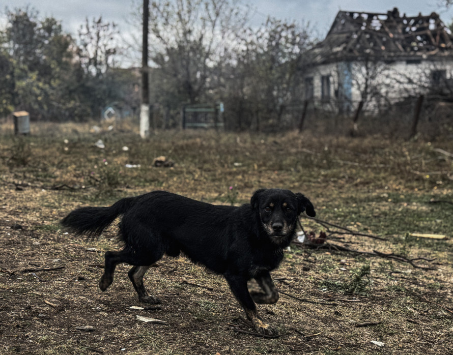 Як село у Запорізькій області оговтується після авіаудару - фото