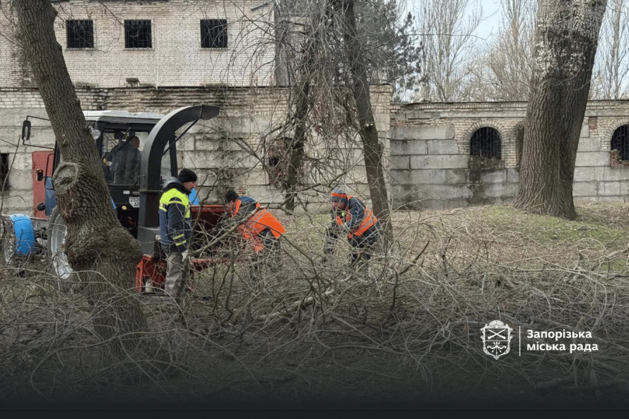 Як виглядає улюблений парк запоріжців взимку - фото