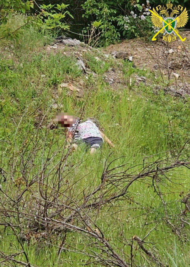 В окупованому Бердянську затримали 14-річну дівчину, яку підозрюють у вбивстві дитини – подробиці