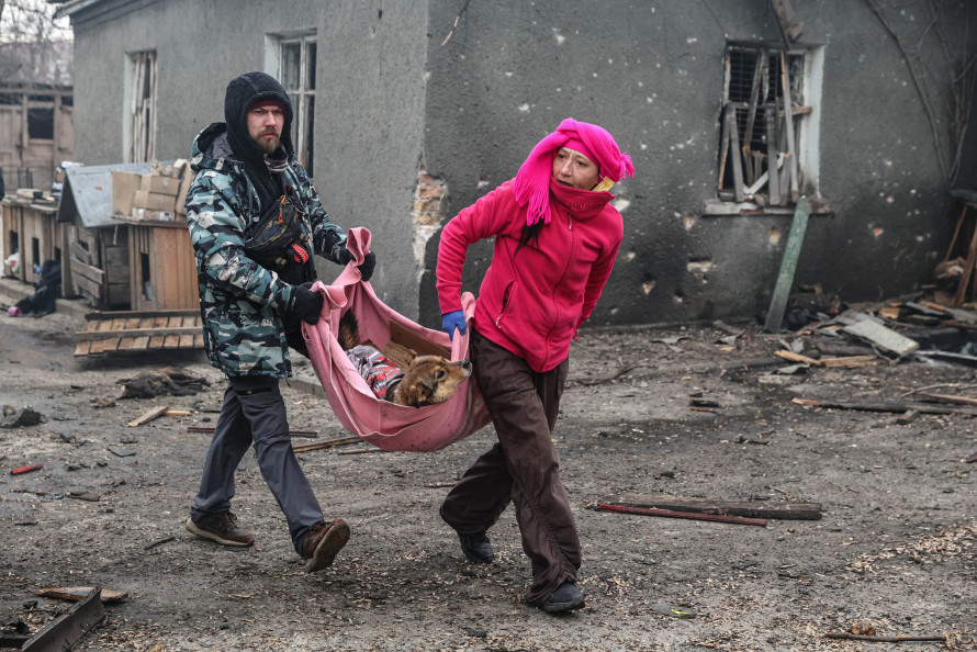 "Тварини не заслуговують бути вбитим" - ситуація у запорізькому притулку для тварин, зруйнованому ворожим дроном