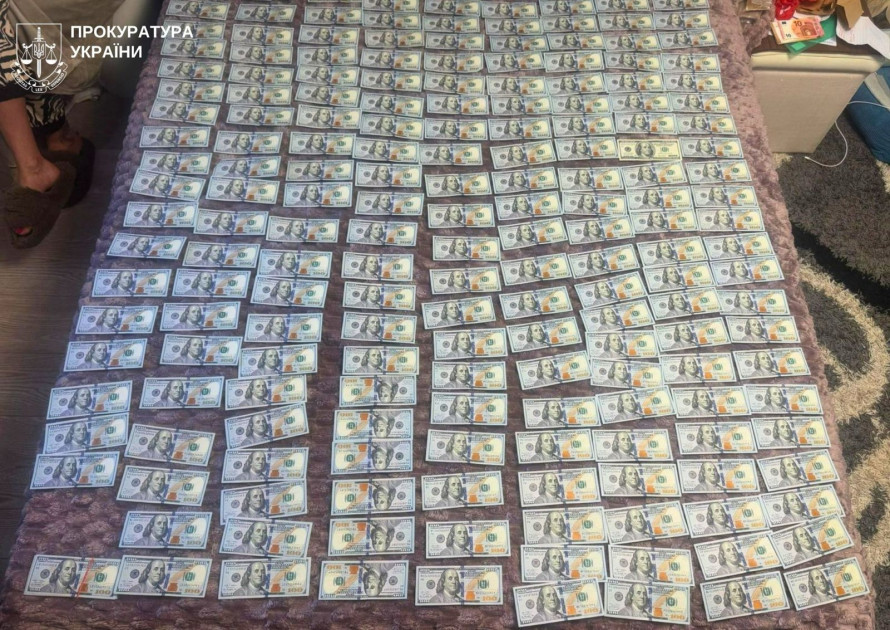 У Запоріжжі розтратили понад мільйон гривень, виділених на лікування безпритульних тварин