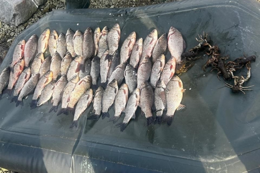 Риба з раками та протокол: інспектори упіймали порушника на водосховищі в Запорізькому районі (фото)