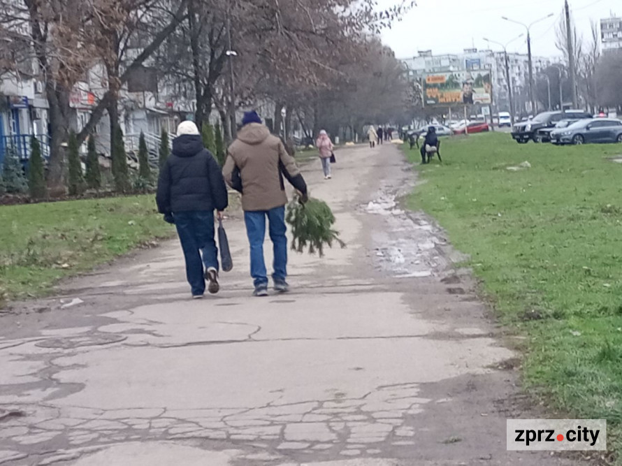 В традиційному місці наймолодшого району Запоріжжя запрацював ялинковий базар - фото