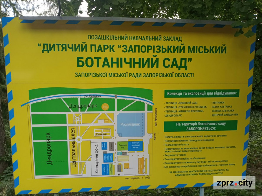 Неймовірна концентрація краси: як запорізький ботанічний сад виглядав в останні дні літа