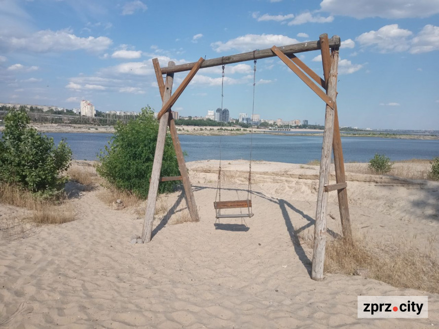 На місці колишнього дна Дніпра на узбережжі Хортиці виріс тополевий ліс висотою у два людські зрости - фото