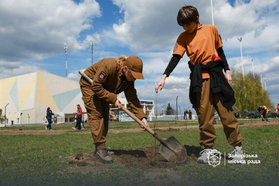 Замість бур'янів та пилу — тінь і затишок: на пустирі у Хортицькому районі Запоріжжя висадили десятки дерев (фото)