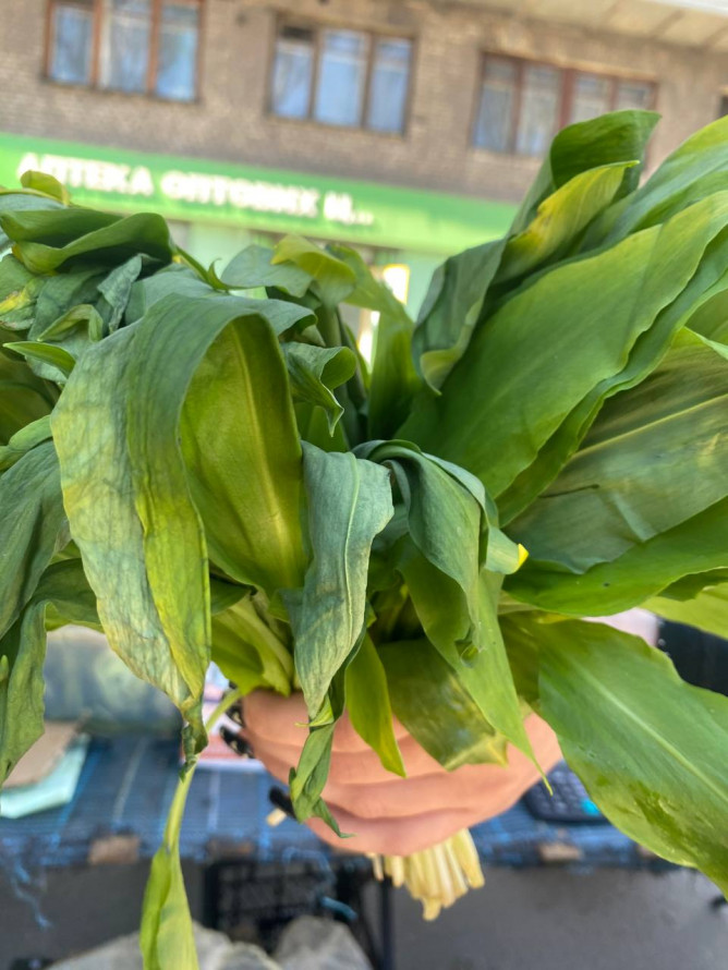 Протокол за «пучок трави»: у Запоріжжі екологи виявили незаконний продаж червонокнижної рослини