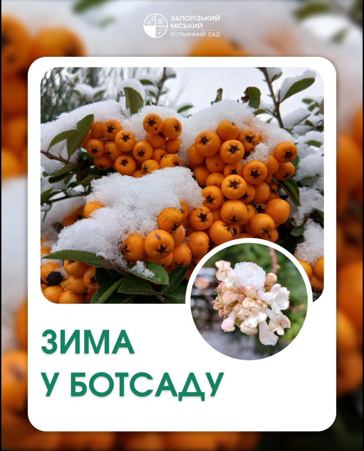 Морально відновлюємось - як культурно провести останні вихідні цього року, щоб вони запам'ятались