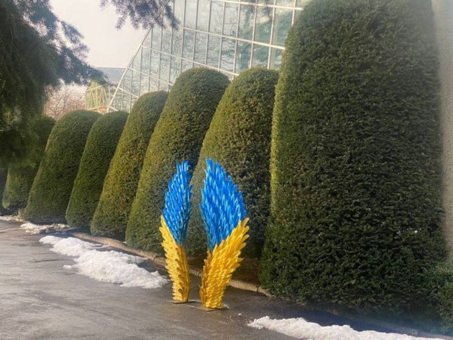 Освідчення серед пальм - у запорізькому ботсаду новий рік почався з романтичної події (фото)