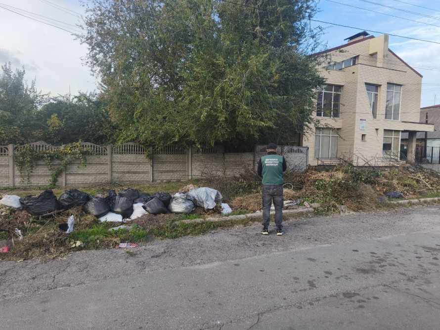 Сміття під вікнами вишу — у Запоріжжі біля університету знайшли два стихійні звалища (фото)