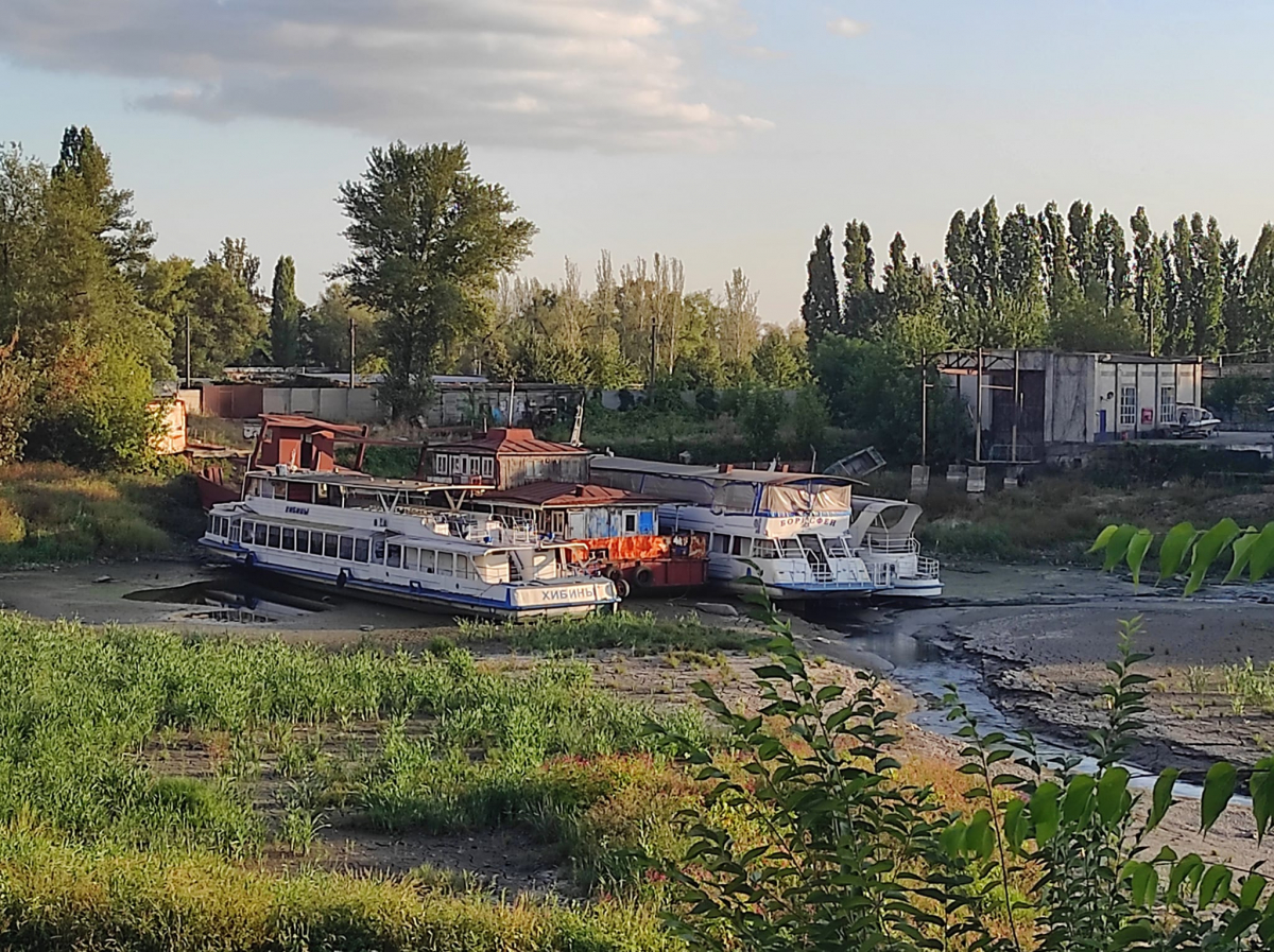 Прибрали гілля та повалені дерева: у Запоріжжі розчистили береги Мокрої Московки - фото