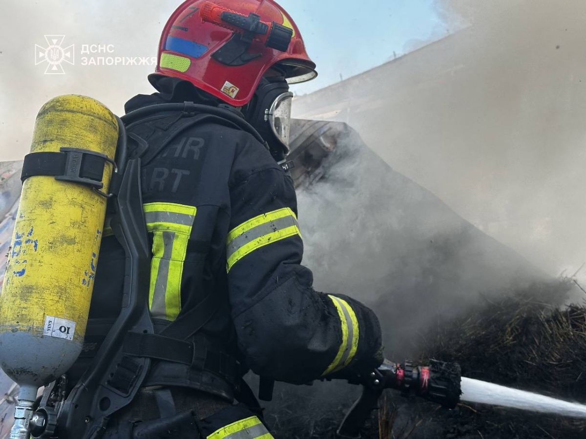 У Запорізькому районі зайнявся склад із сіном — рятувальники боролися з масштабною пожежею (фото, відео)