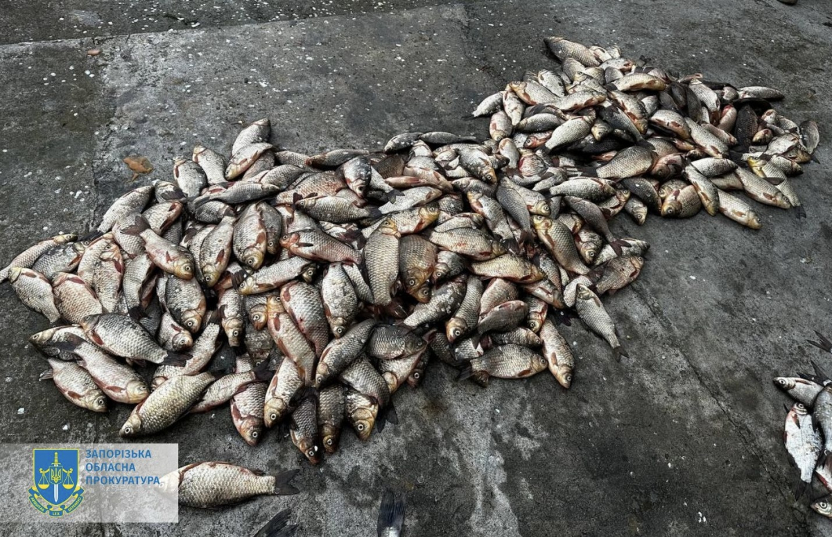 Виловили риби на три мільйони гривень – у Запорізькому районі затримали двох чоловіків