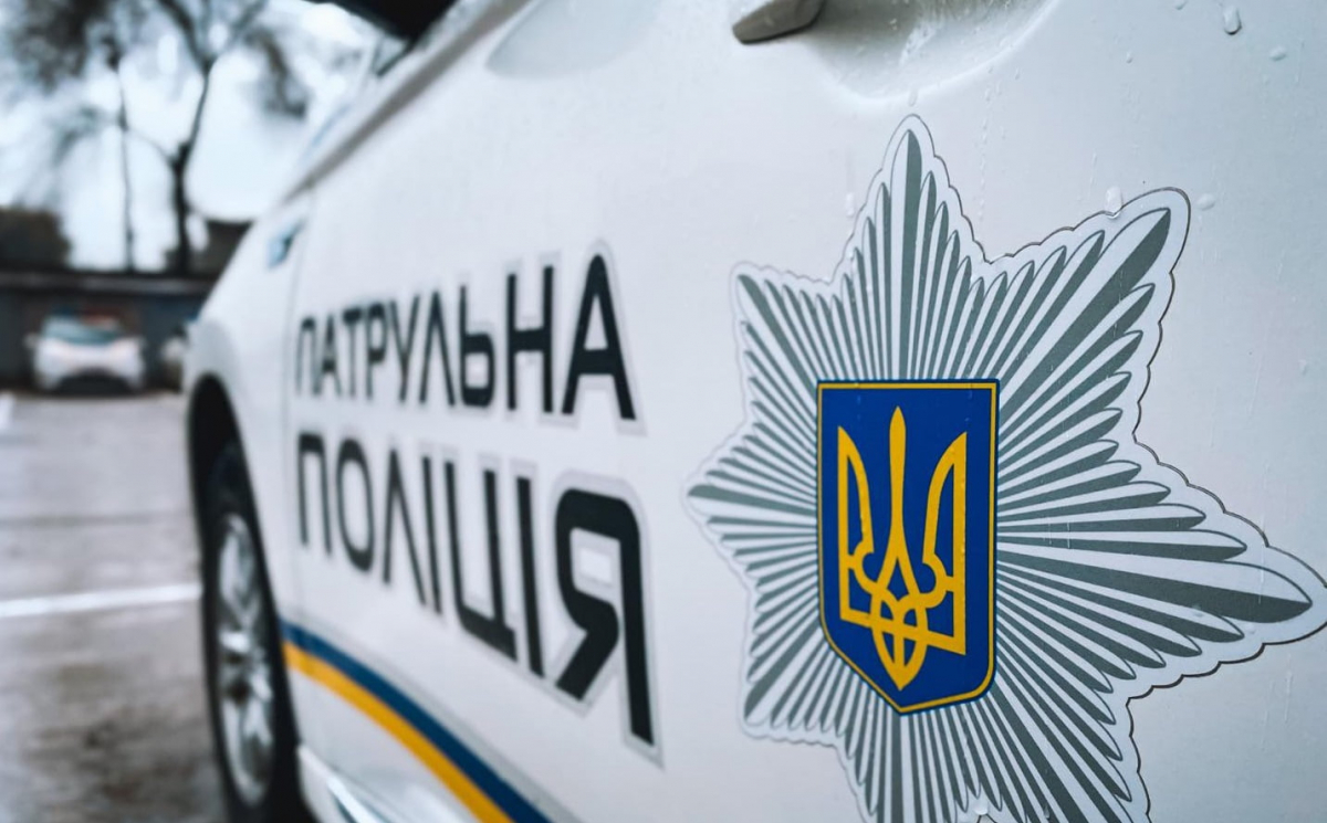 Лежало знесилене посеред дороги - у Запоріжжі патрульні врятували маленьке совеня (фото, відео)