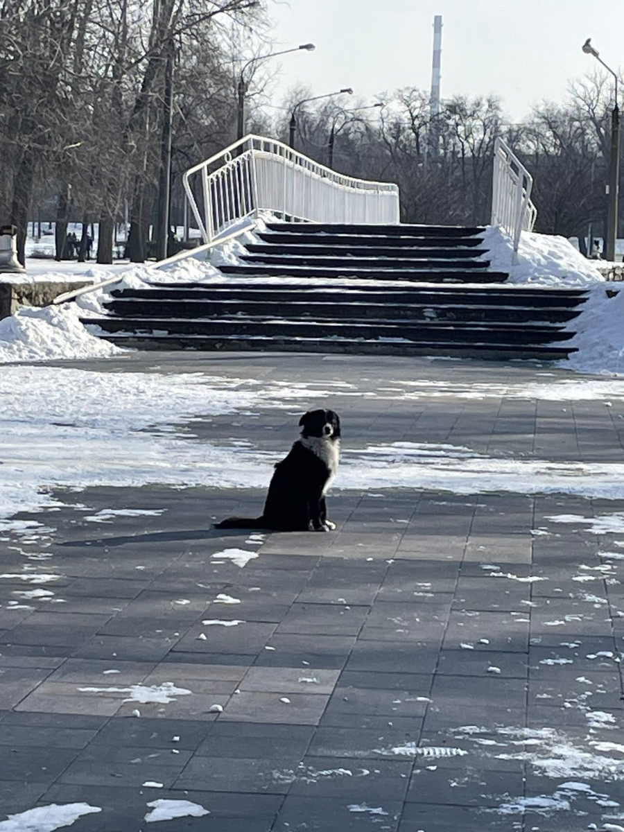 Як виглядає улюблений парк запоріжців взимку - фото