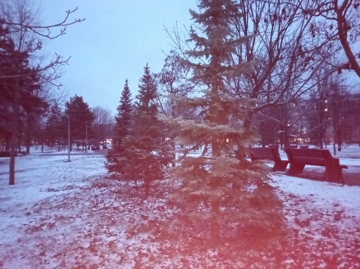 Яка погода буде на Різдво та на Свято Собору Пресвятої Богородиці - прогноз