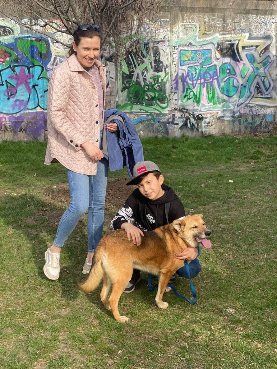 Класний релакс: вихідними запоріжці гуляють з собаками з притулку - фото