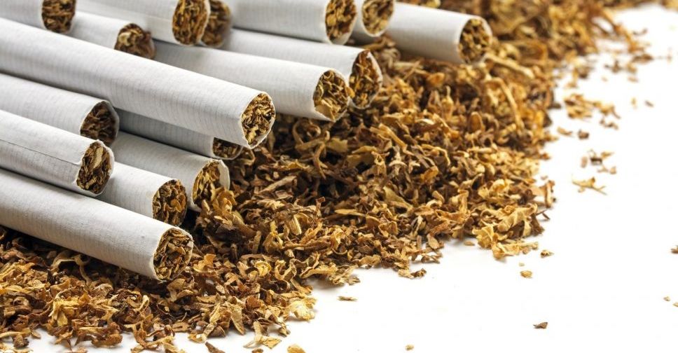 Через війну тютюн стає хітом дачно-городнього сезону на Запоріжжі