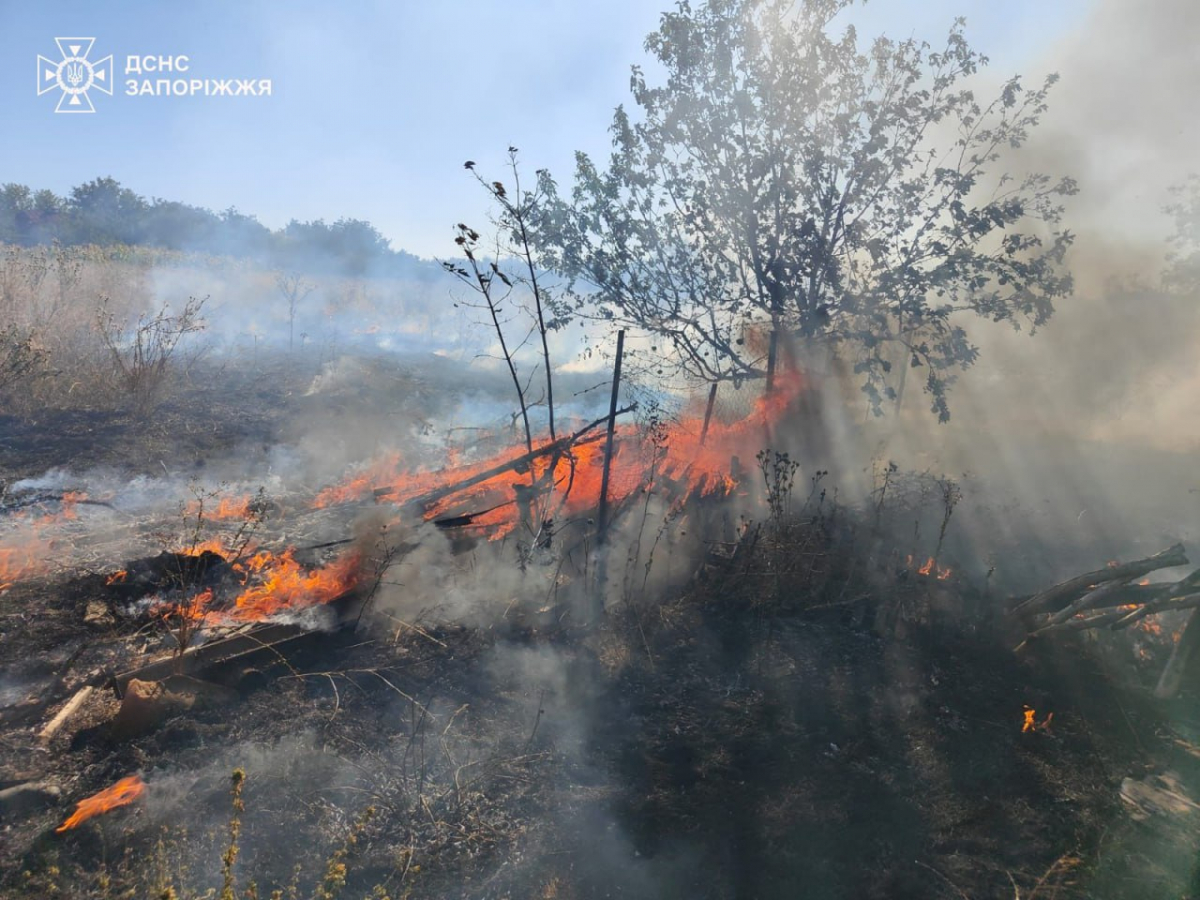 Горіли житлові будинки - внаслідок ворожого обстрілу в Оріхові сталась масштабна пожежа (фото)