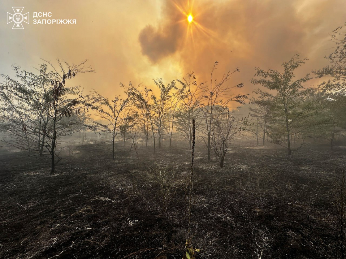 Через сильну пожежу на Хортиці у Запоріжжі погіршився стан повітря - що кажуть фахівці